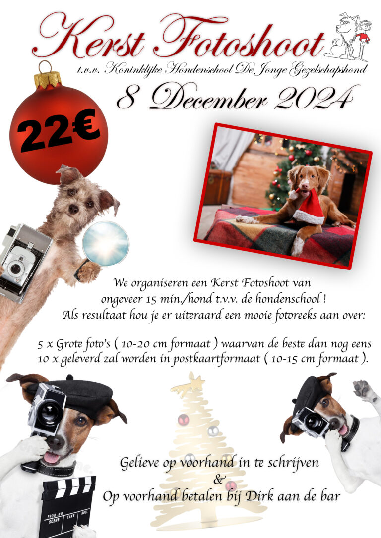 Hondenschool De Jonge Gezelschapshond Kerstshoot 2024 AFFICHE