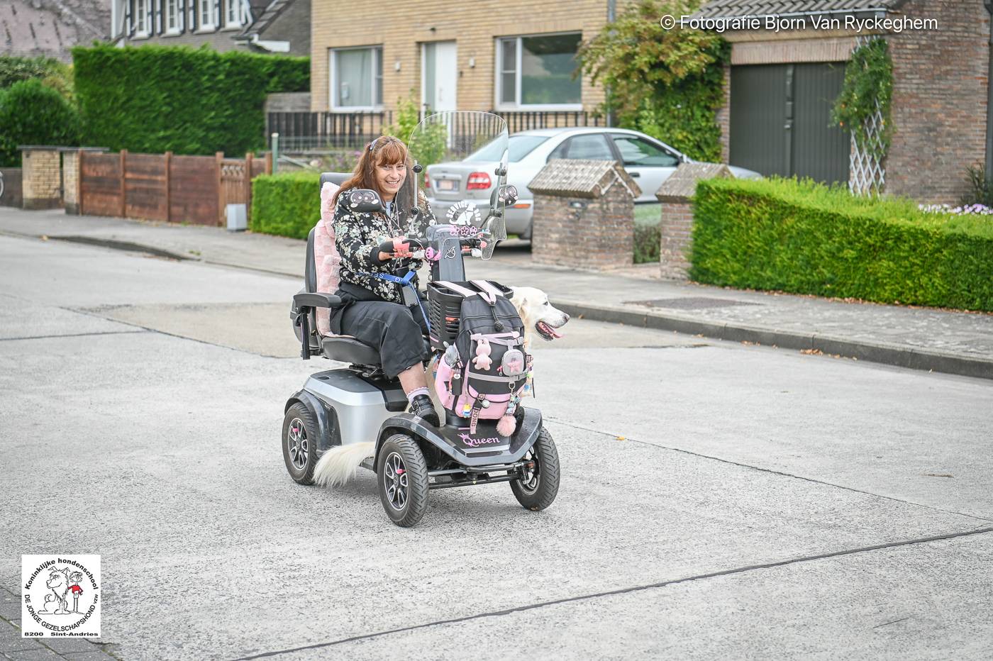 Hondenschool De Jonge Gezelschapshond Ontbijt & zoektocht 2025 96