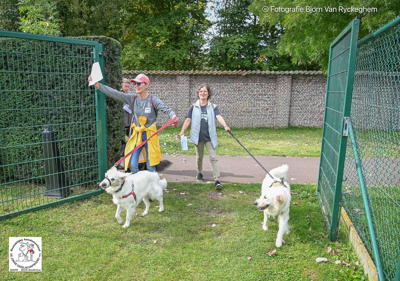 Hondenschool De Jonge Gezelschapshond Ontbijt & zoektocht 2025 148