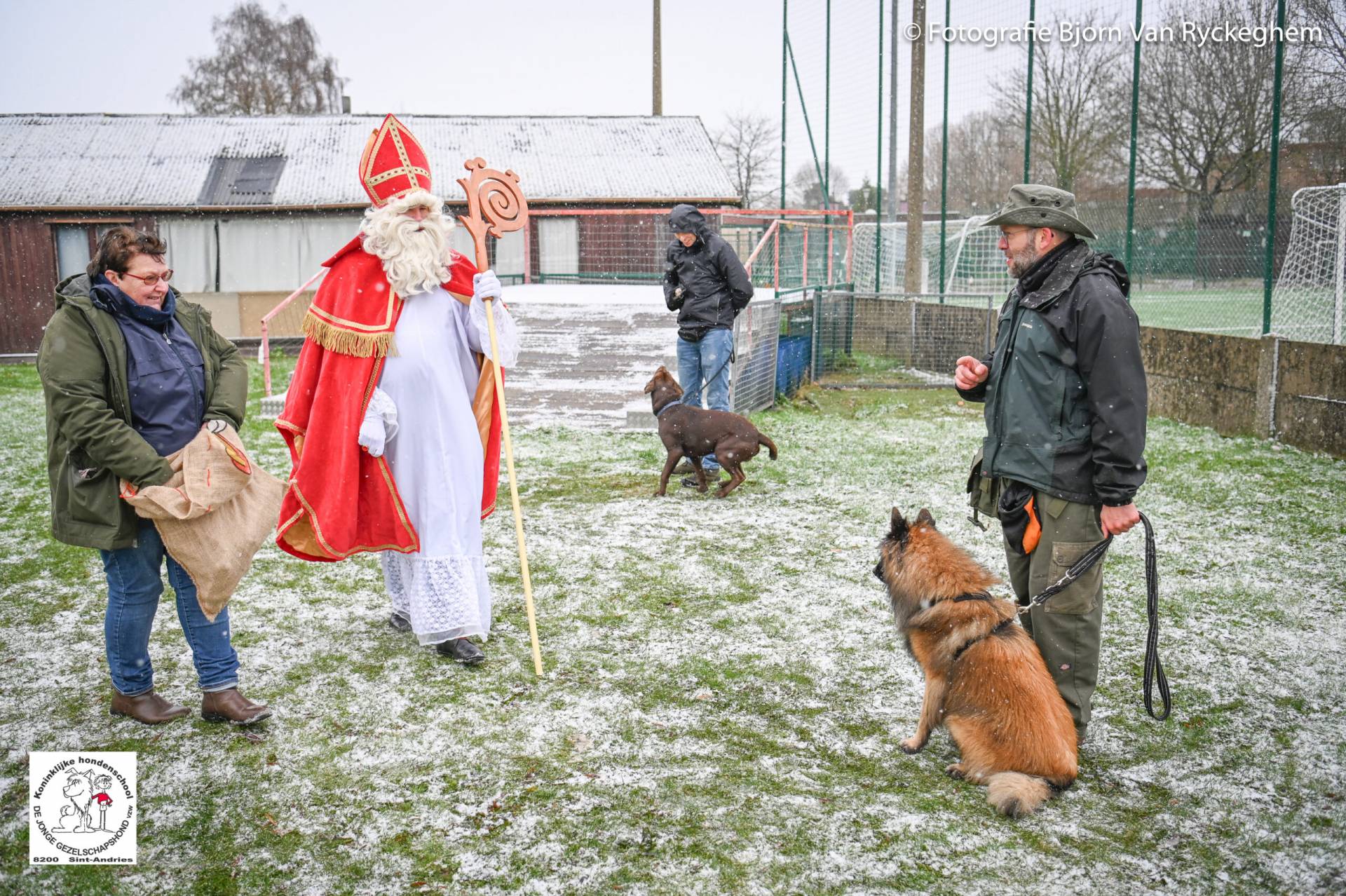 Hondenschool Sinterklaas 2023 100