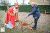 Hondenschool Sinterklaas 2023 42