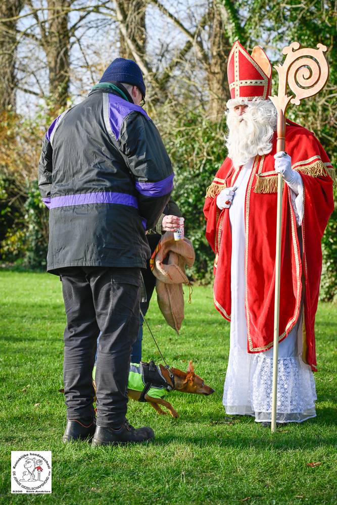 Sinterklaas 2024 146