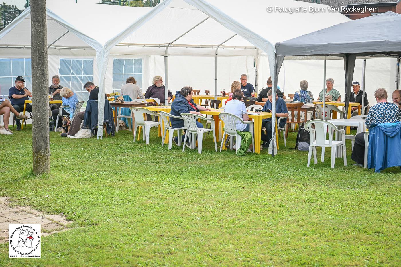 Hondenschool De Jonge Gezelschapshond Ontbijt & zoektocht 2025 145