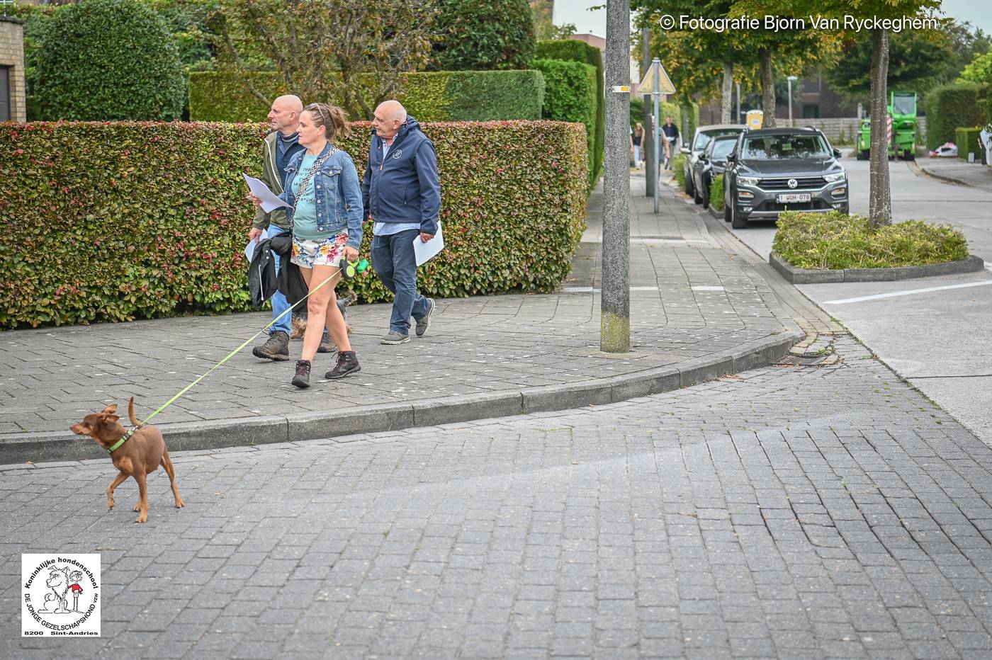 Hondenschool De Jonge Gezelschapshond Ontbijt & zoektocht 2025 101