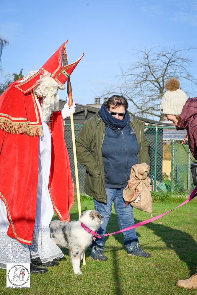 Sinterklaas 2024 91