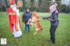 Hondenschool Sinterklaas 2023 154