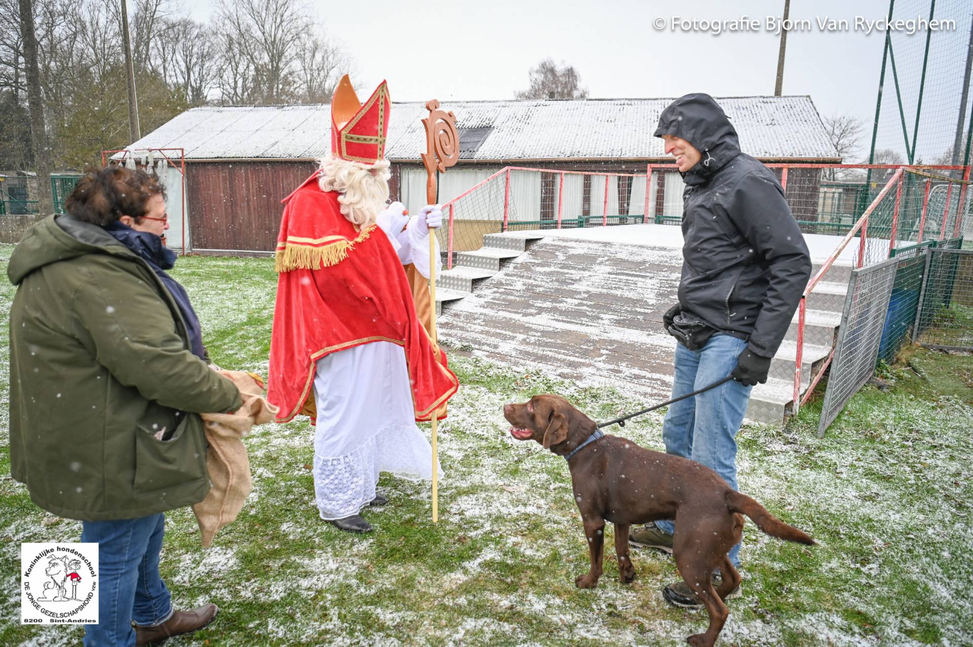 Hondenschool Sinterklaas 2023 96