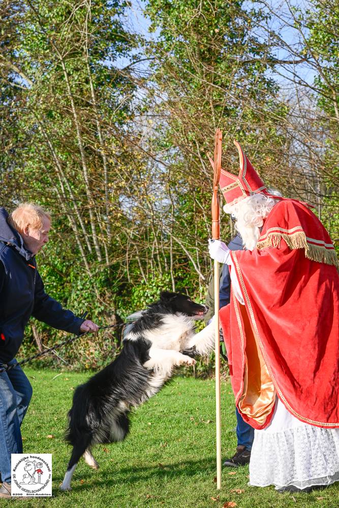 Sinterklaas 2024 45