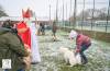 Hondenschool Sinterklaas 2023 111