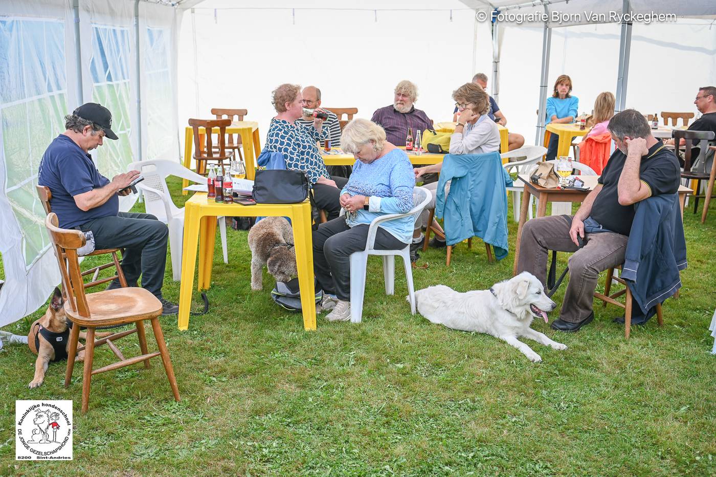 Hondenschool De Jonge Gezelschapshond Ontbijt & zoektocht 2025 160