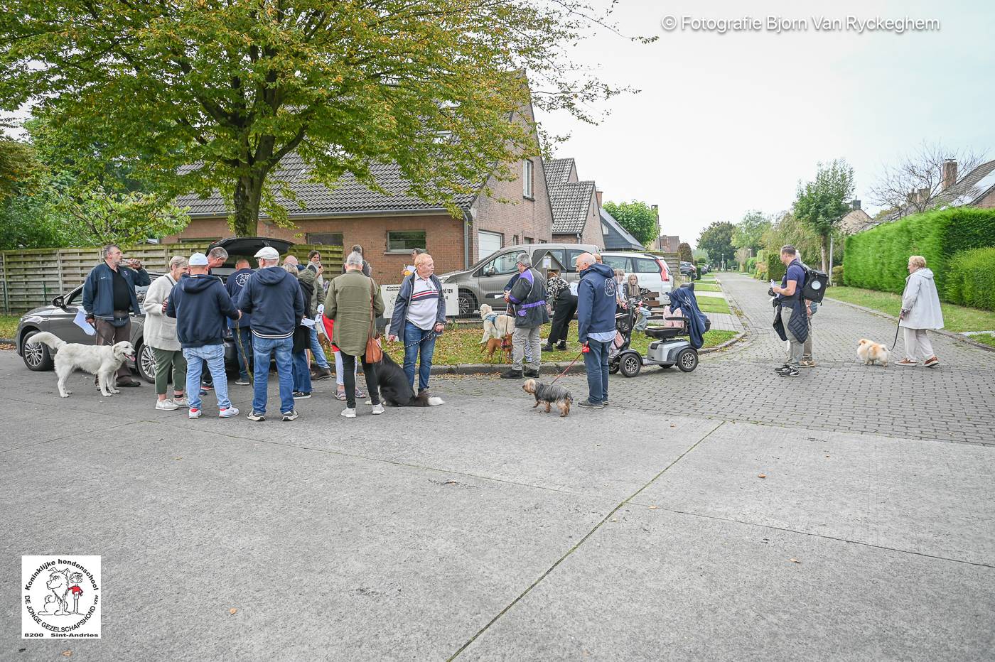 Hondenschool De Jonge Gezelschapshond Ontbijt & zoektocht 2025 129