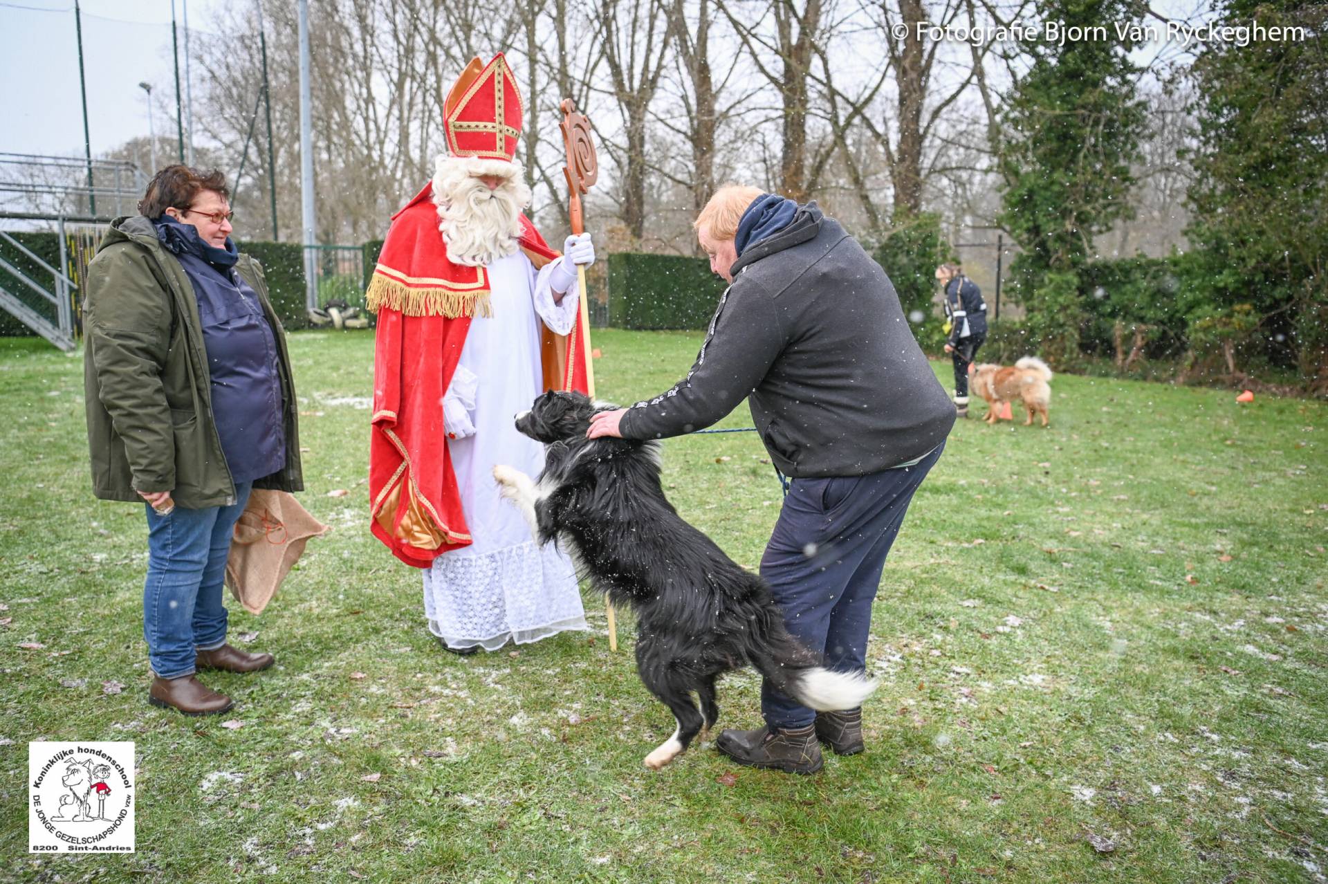 Hondenschool Sinterklaas 2023 59