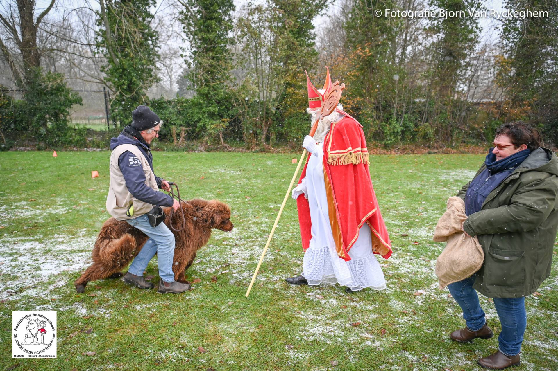 Hondenschool Sinterklaas 2023 128