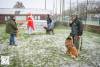 Hondenschool Sinterklaas 2023 98