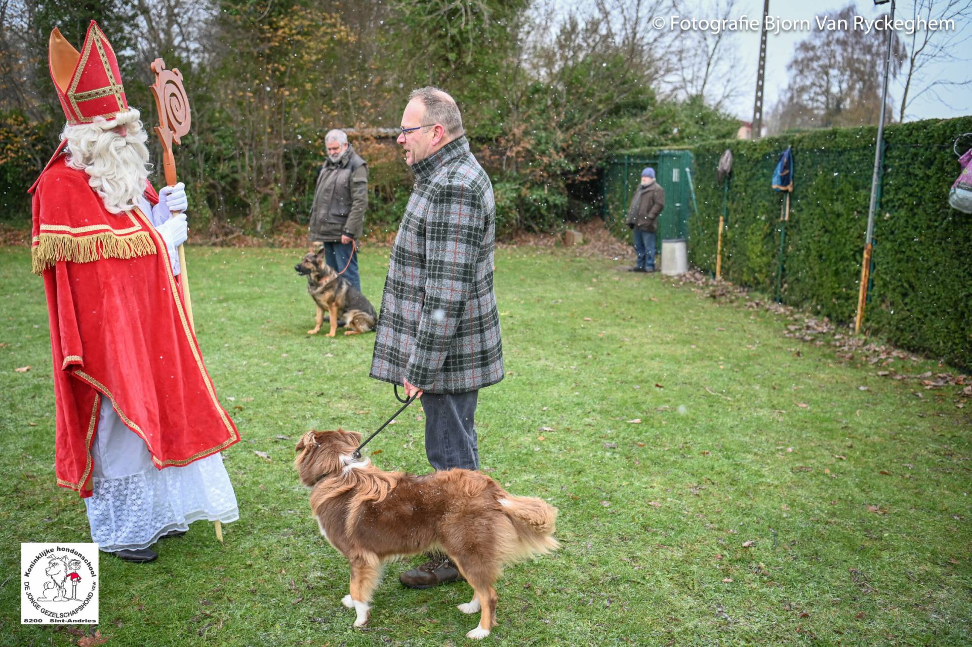 Hondenschool Sinterklaas 2023 22