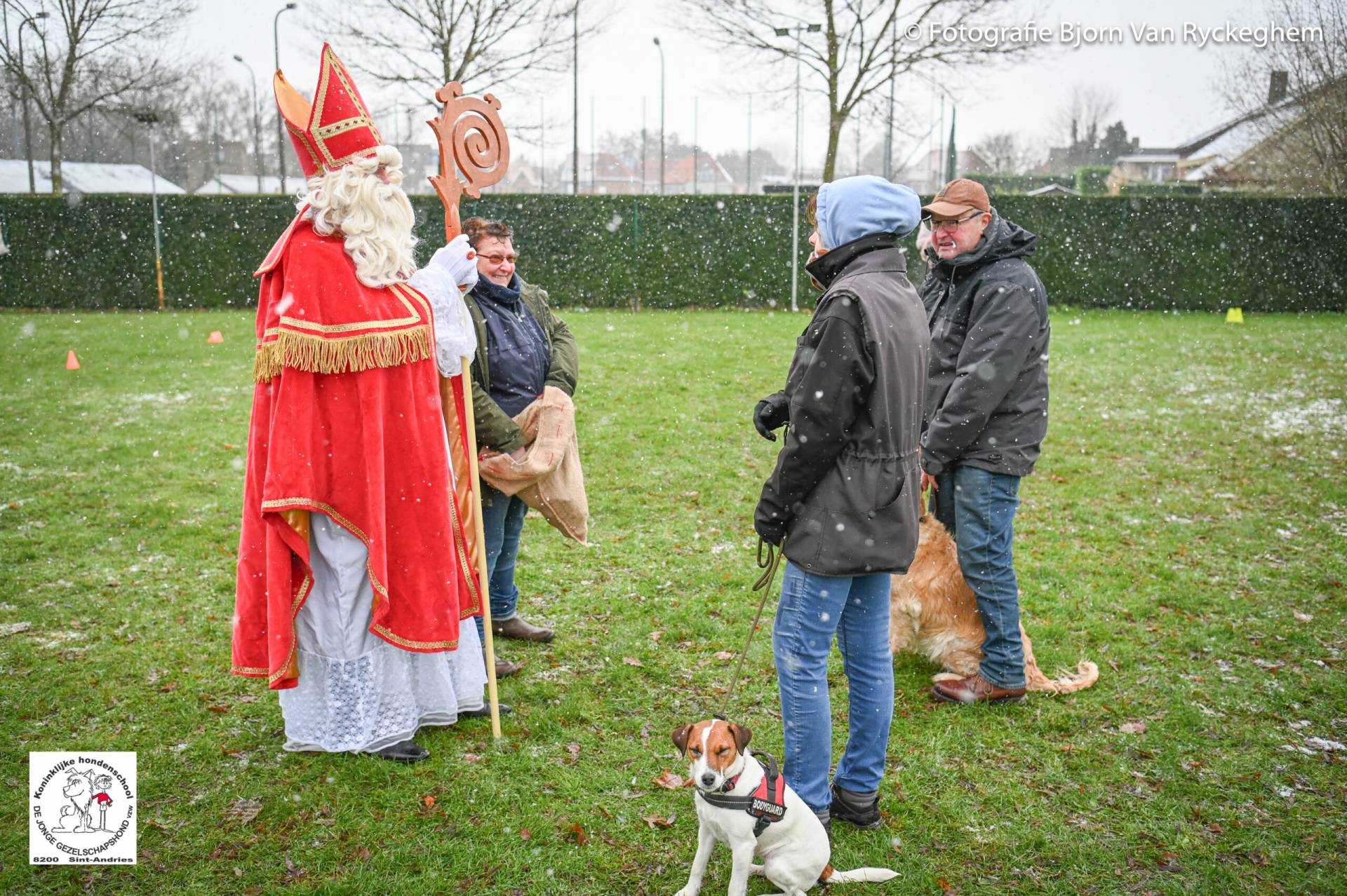 Hondenschool Sinterklaas 2023 144