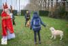 Hondenschool Sinterklaas 2023 66