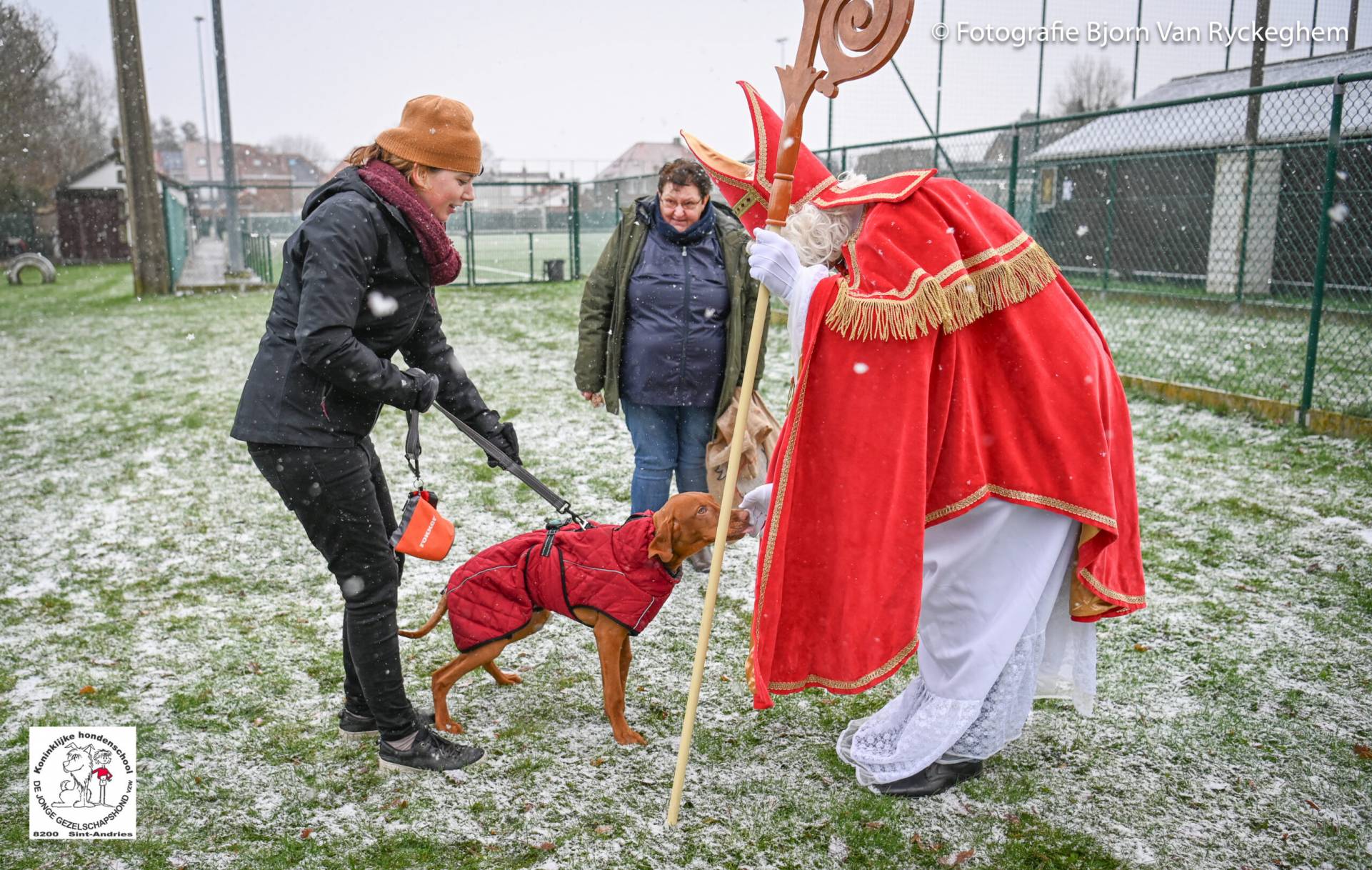Hondenschool Sinterklaas 2023 89