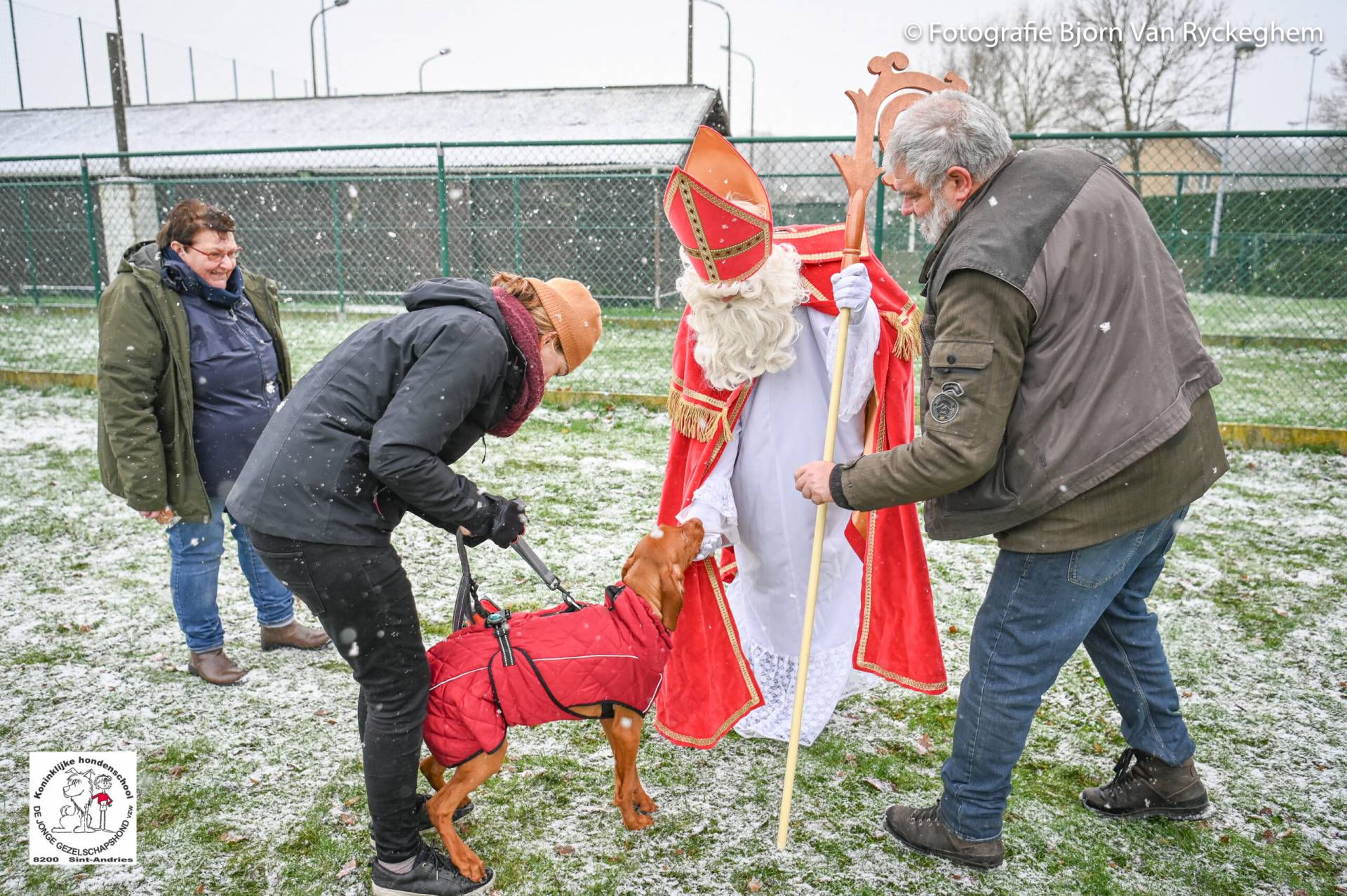 Hondenschool Sinterklaas 2023 91