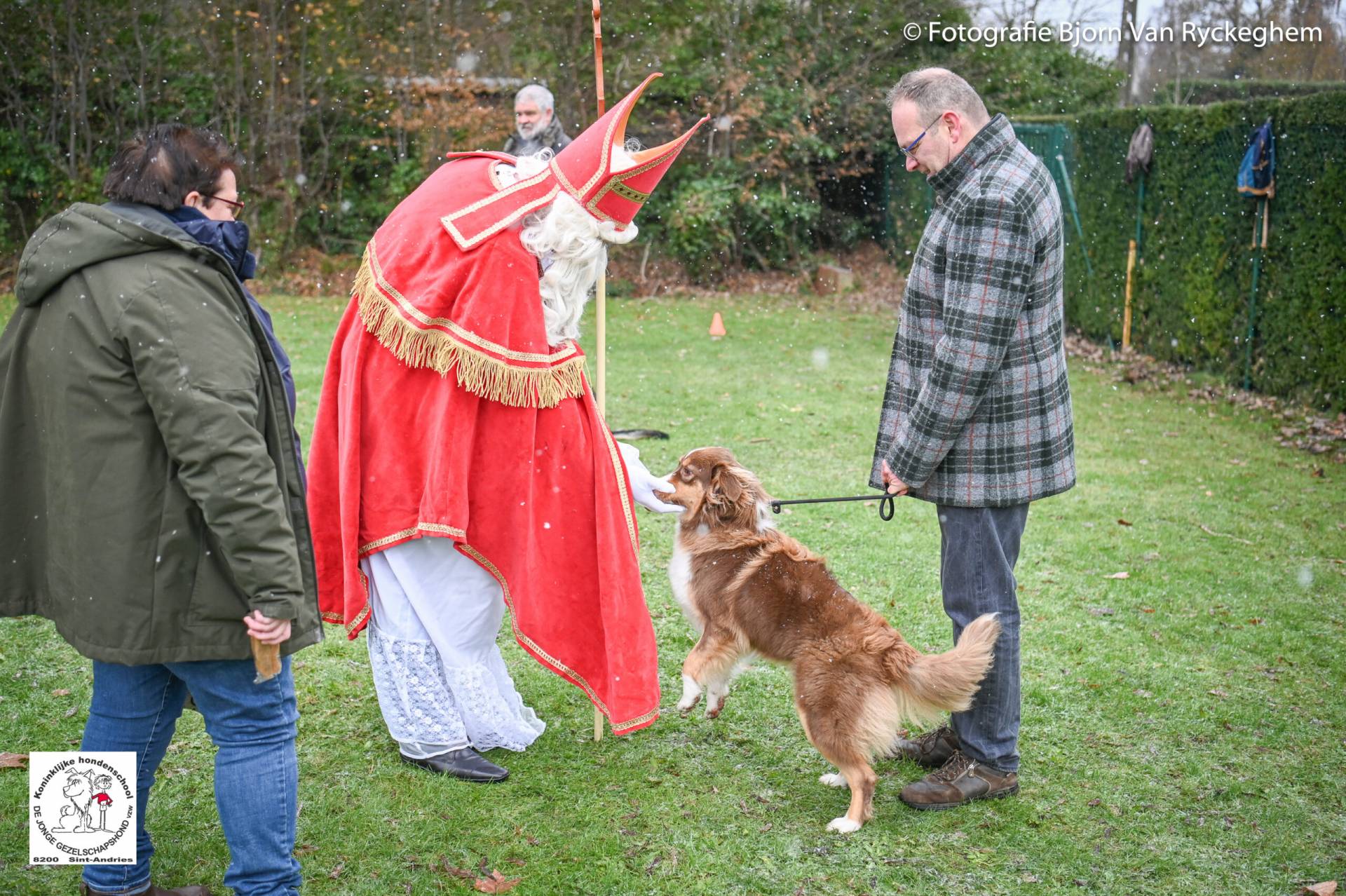 Hondenschool Sinterklaas 2023 21