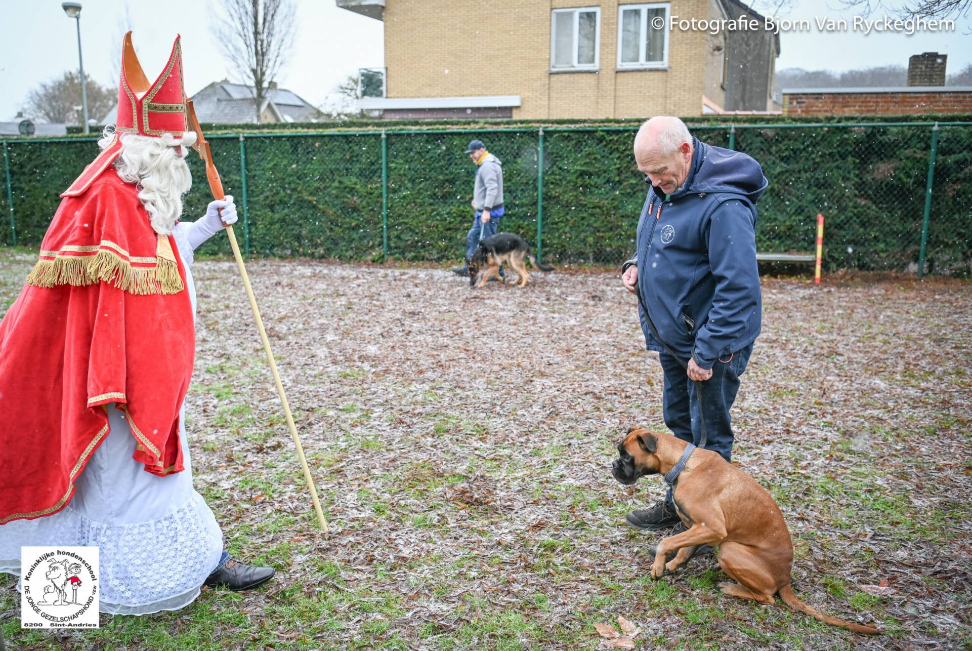 Hondenschool Sinterklaas 2023 40
