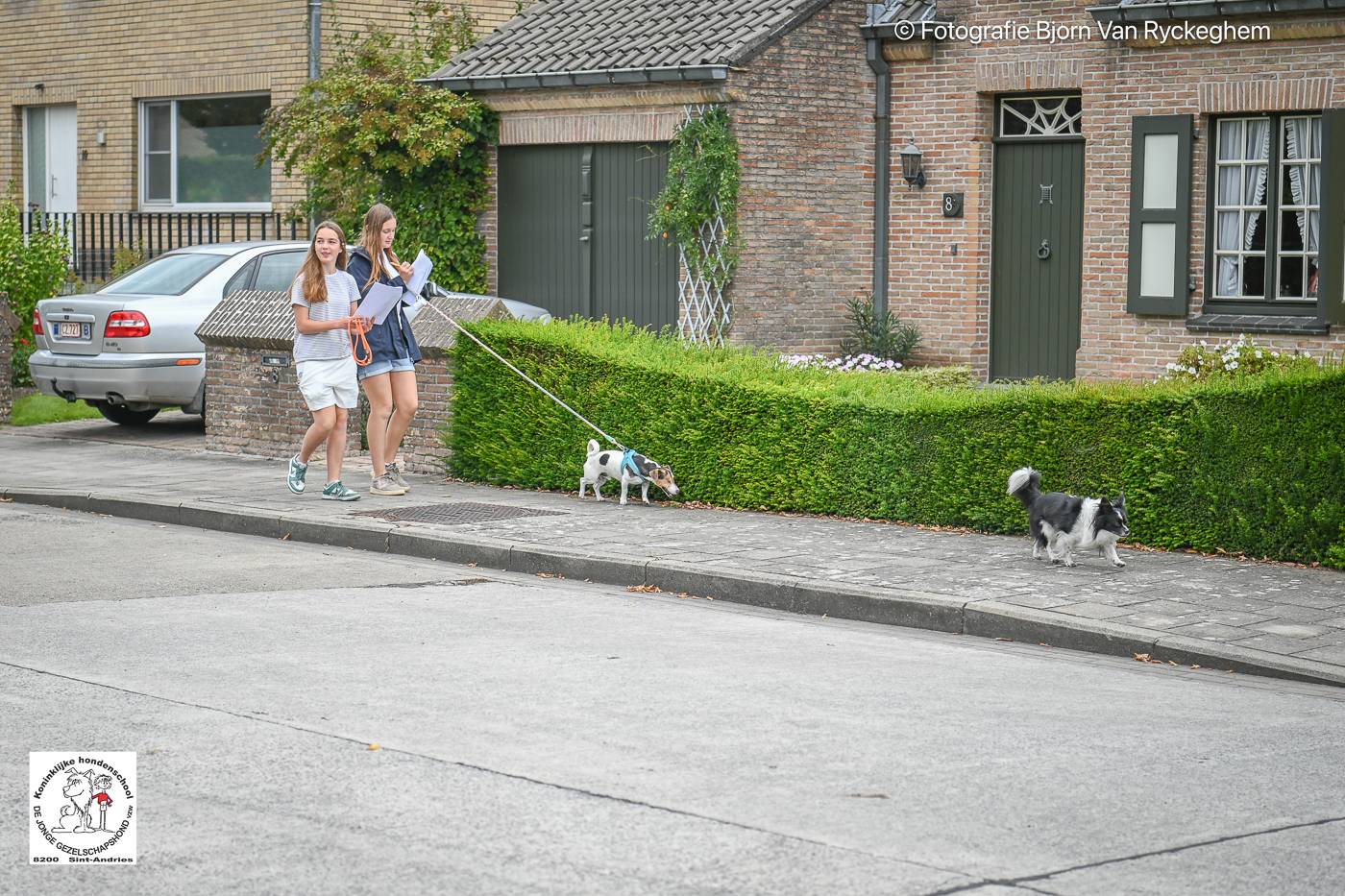 Hondenschool De Jonge Gezelschapshond Ontbijt & zoektocht 2025 91