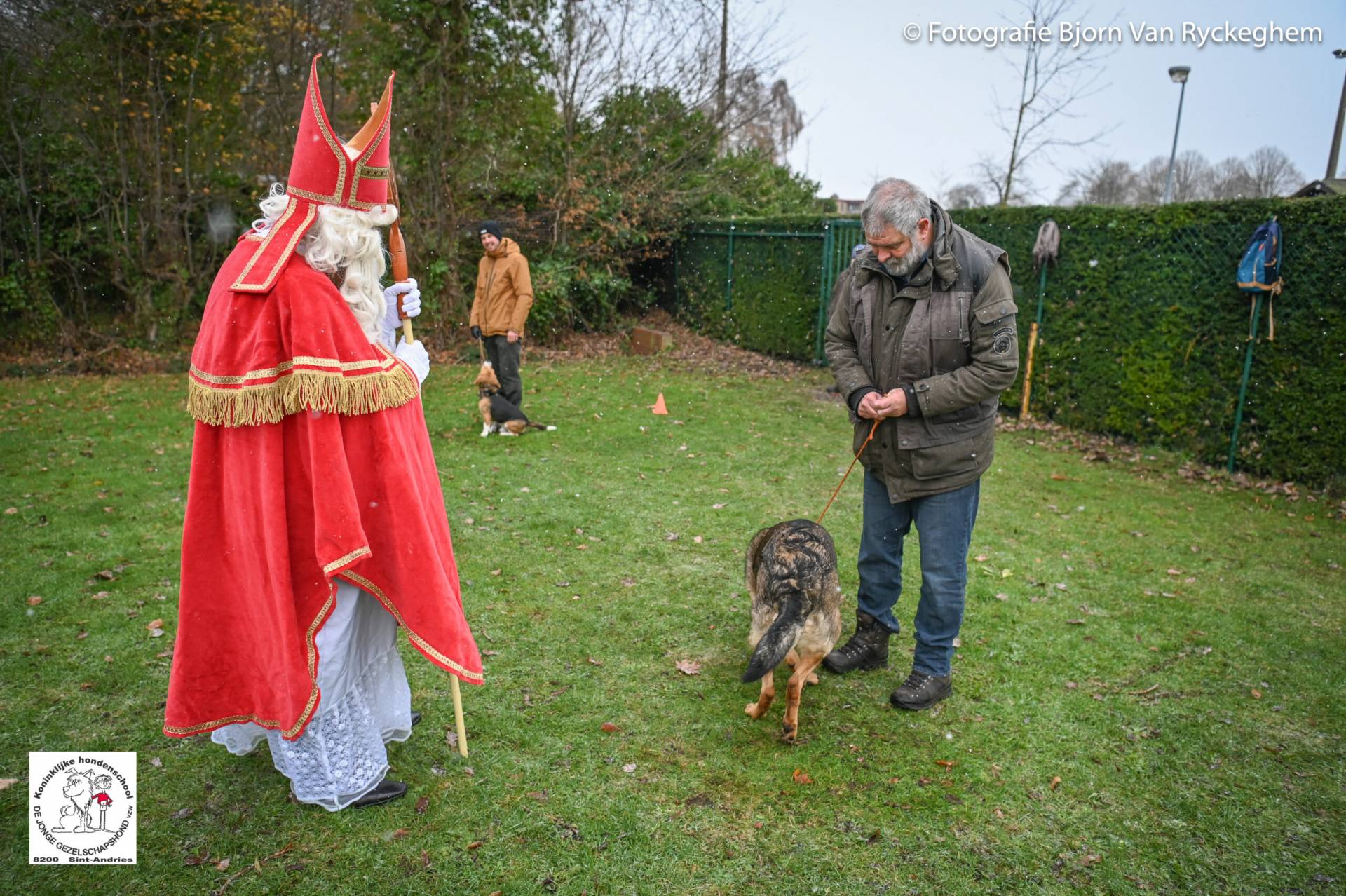 Hondenschool Sinterklaas 2023 13
