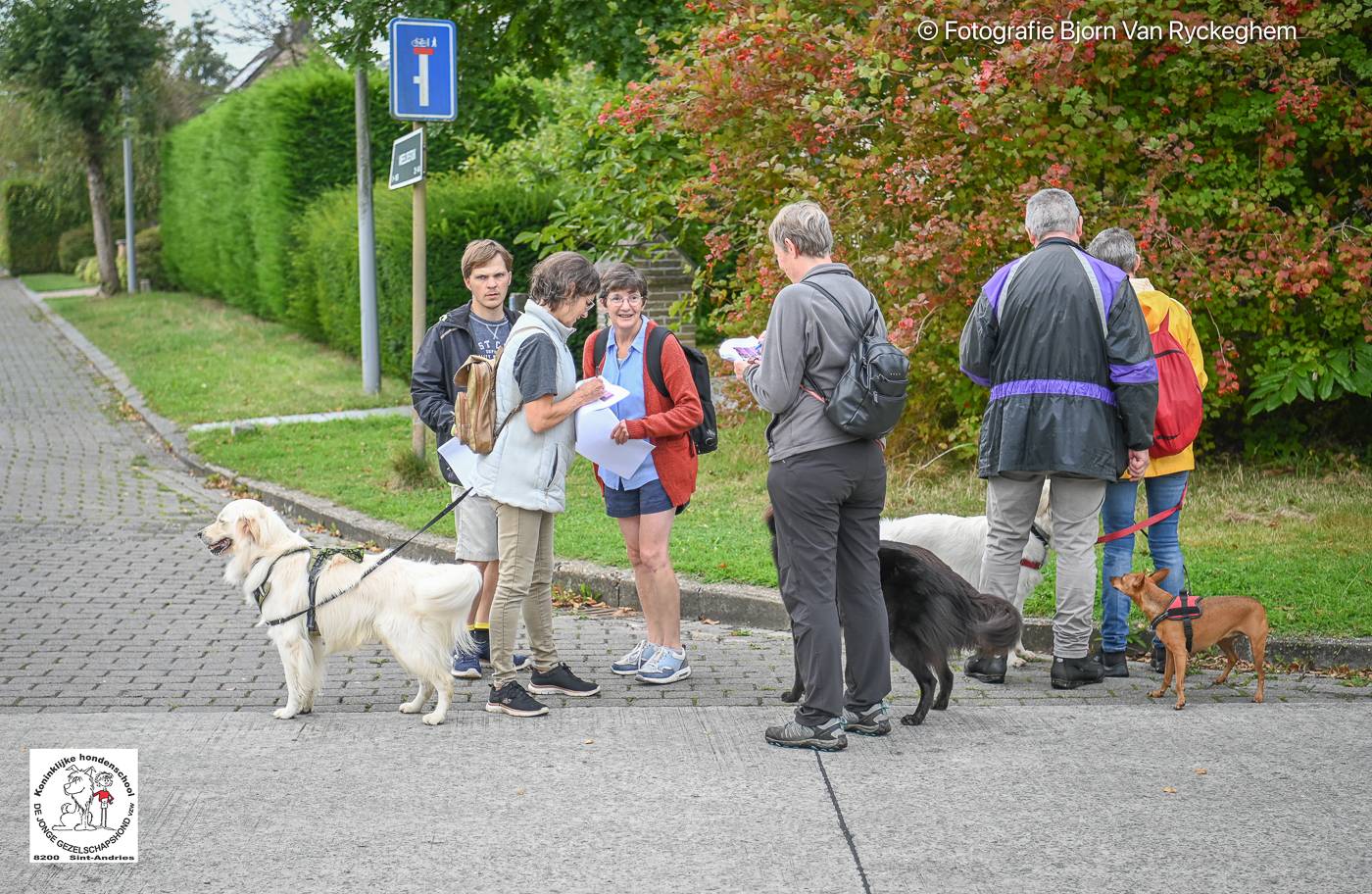 Hondenschool De Jonge Gezelschapshond Ontbijt & zoektocht 2025 124