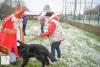 Hondenschool Sinterklaas 2023 121