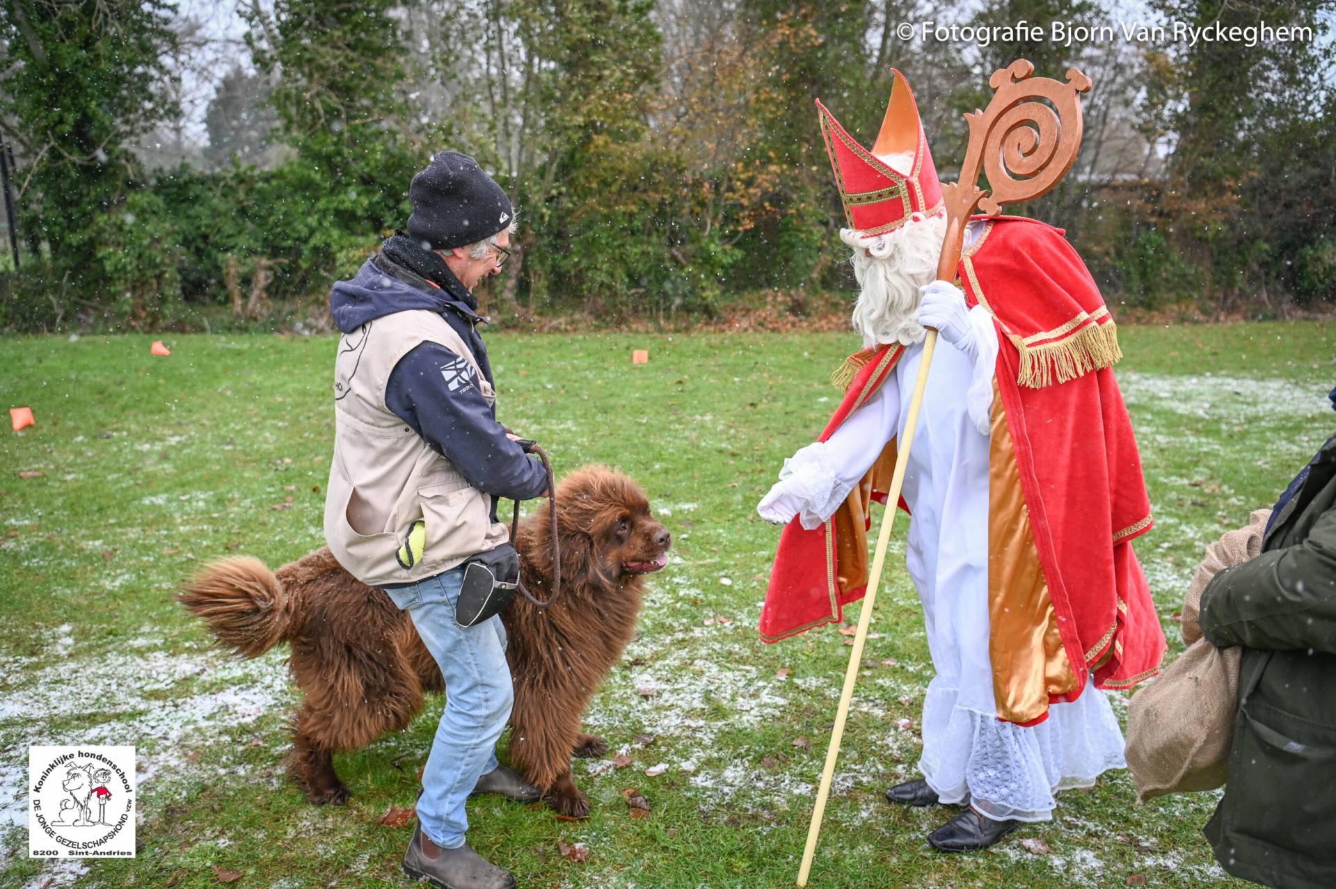 Hondenschool Sinterklaas 2023 129