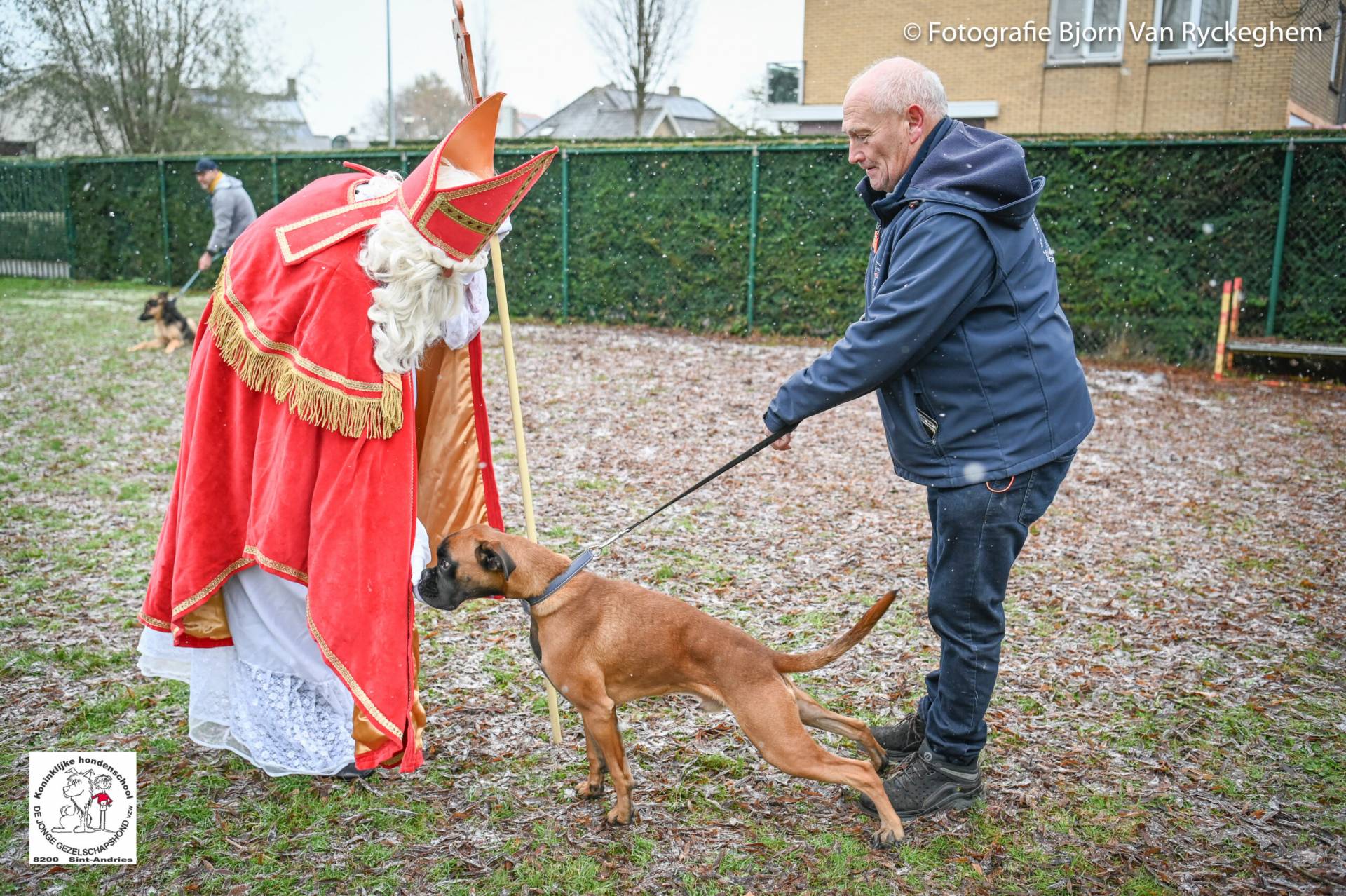 Hondenschool Sinterklaas 2023 42