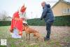 Hondenschool Sinterklaas 2023 43
