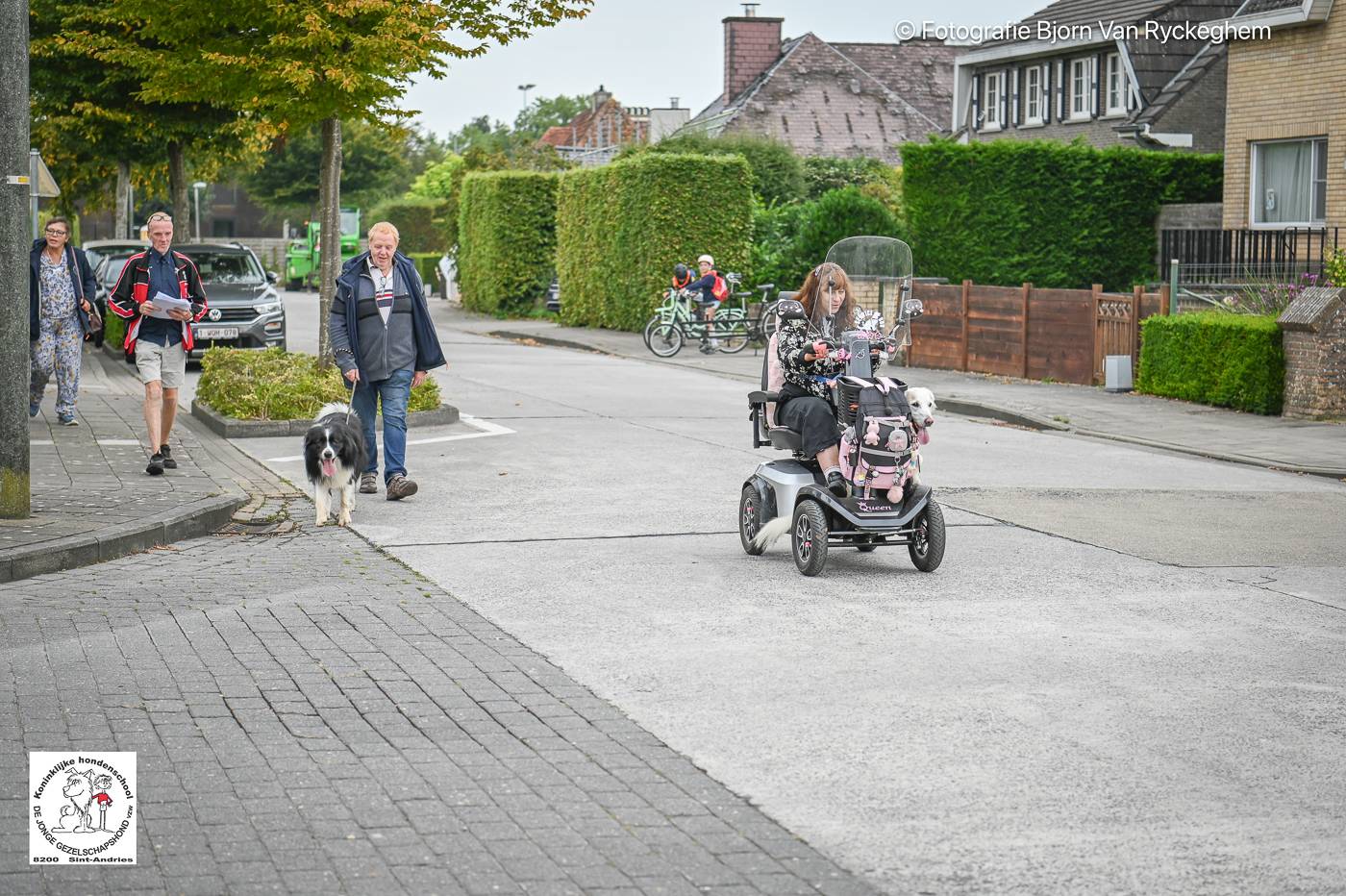 Hondenschool De Jonge Gezelschapshond Ontbijt & zoektocht 2025 95