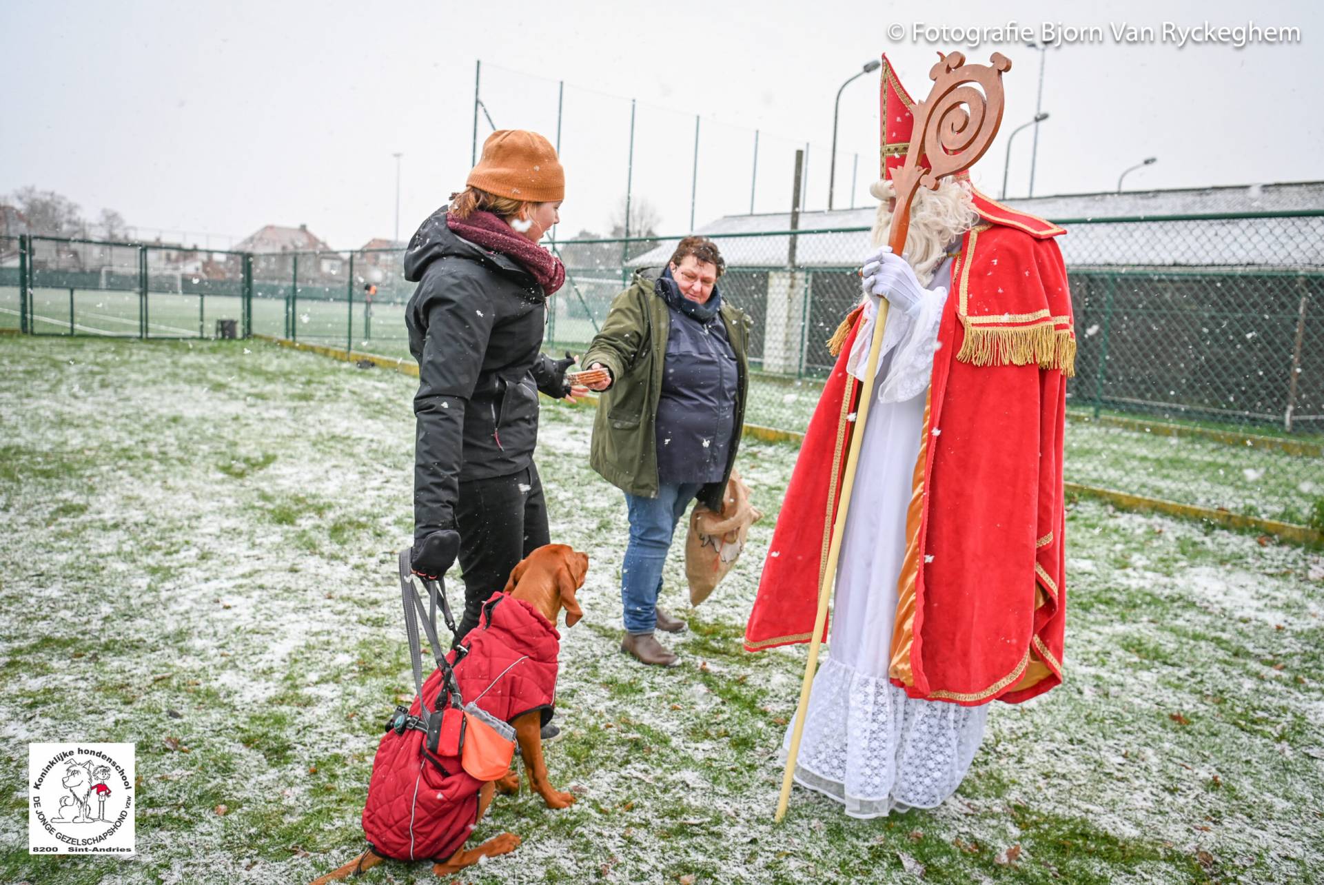 Hondenschool Sinterklaas 2023 92