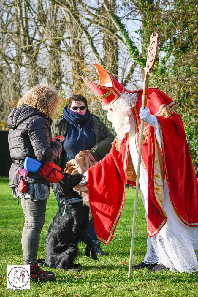 Sinterklaas 2024 139