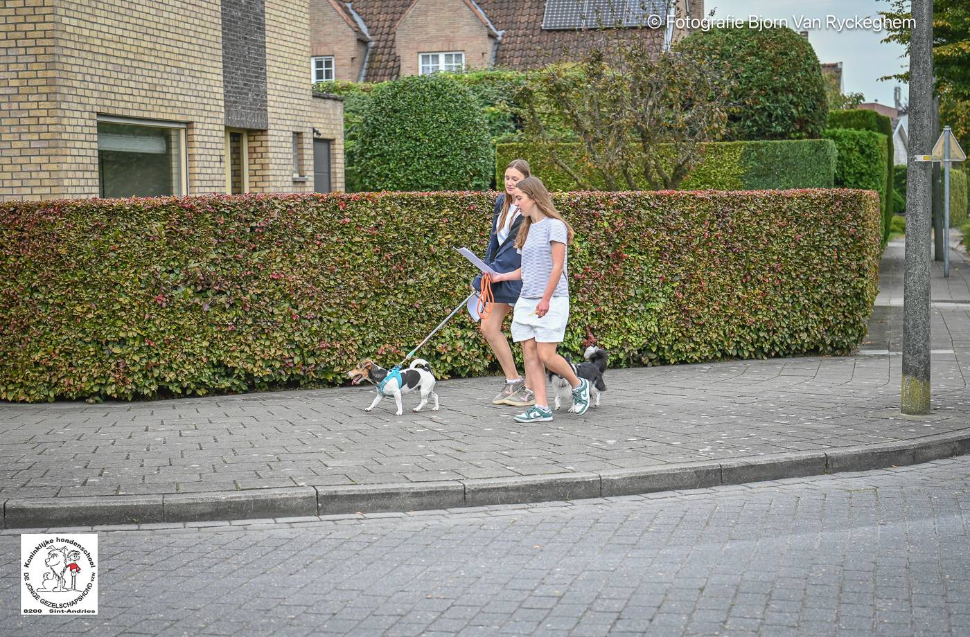 Hondenschool De Jonge Gezelschapshond Ontbijt & zoektocht 2025 109