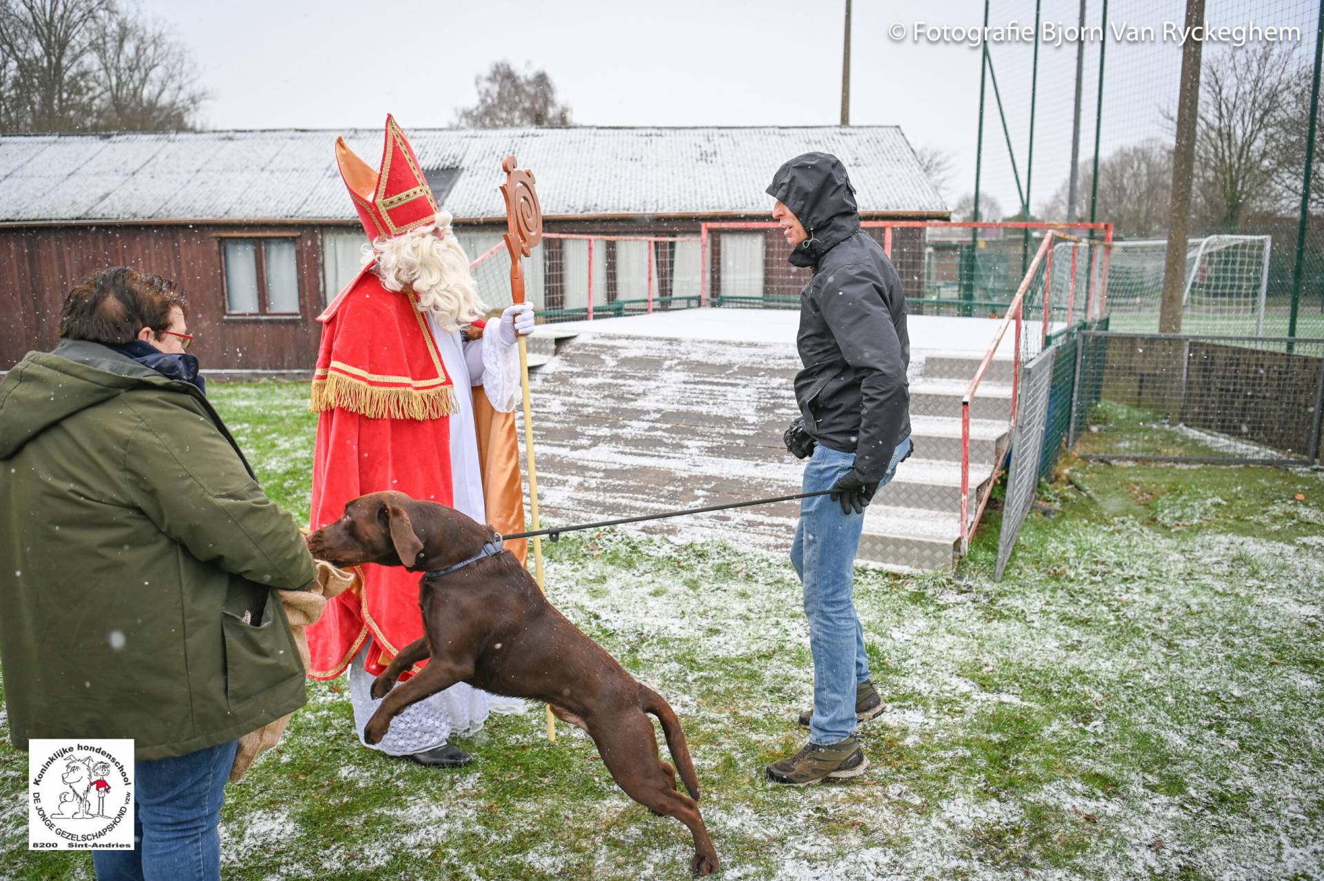 Hondenschool Sinterklaas 2023 95