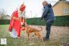 Hondenschool Sinterklaas 2023 44