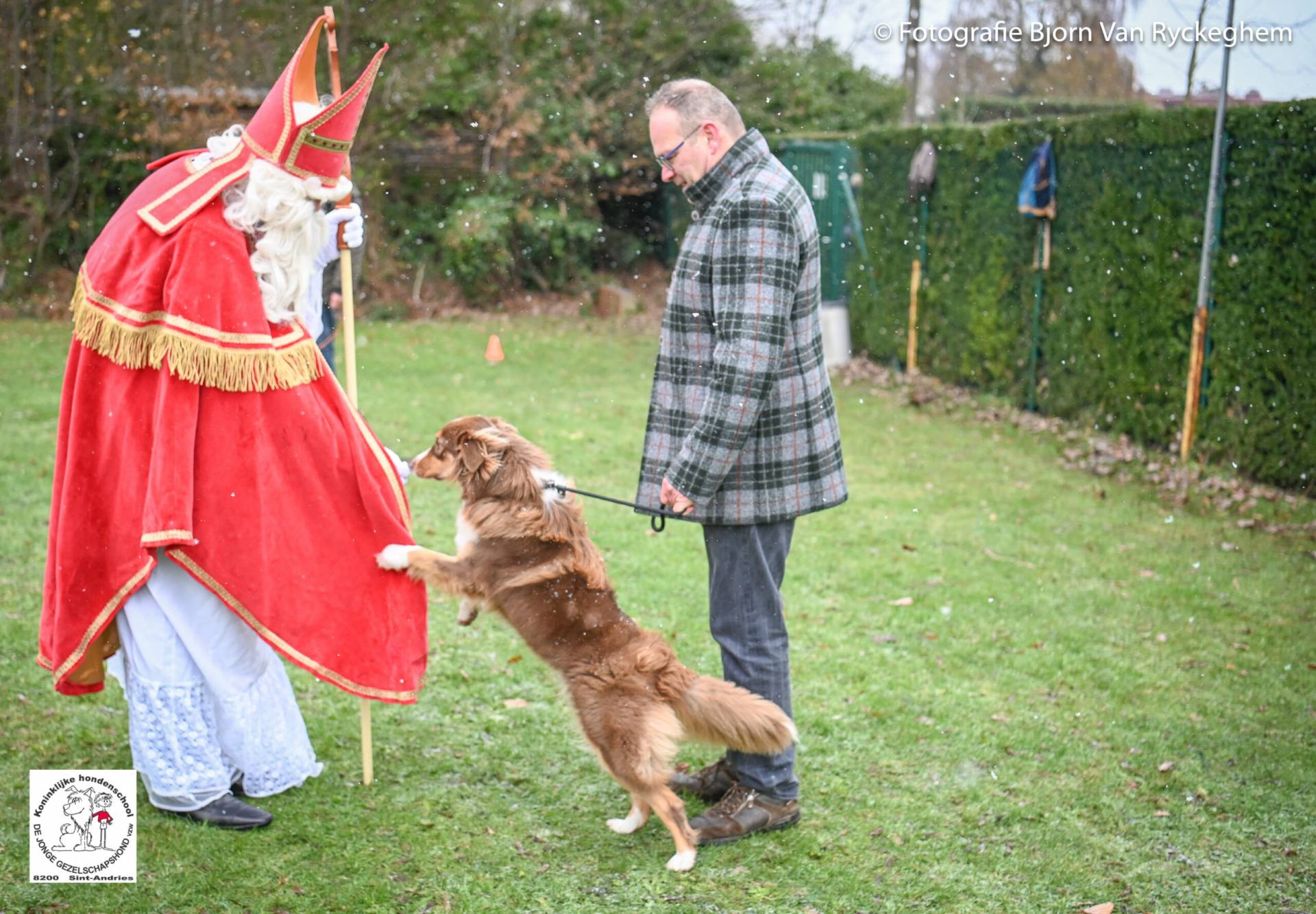 Hondenschool Sinterklaas 2023 20