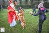 Hondenschool Sinterklaas 2023 153