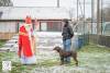 Hondenschool Sinterklaas 2023 99