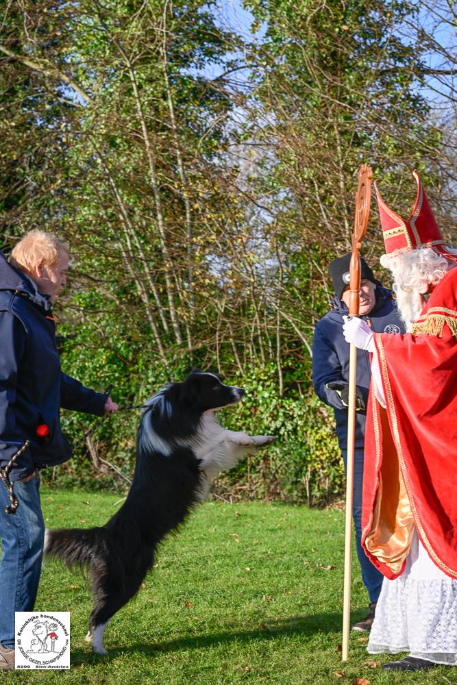 Sinterklaas 2024 44