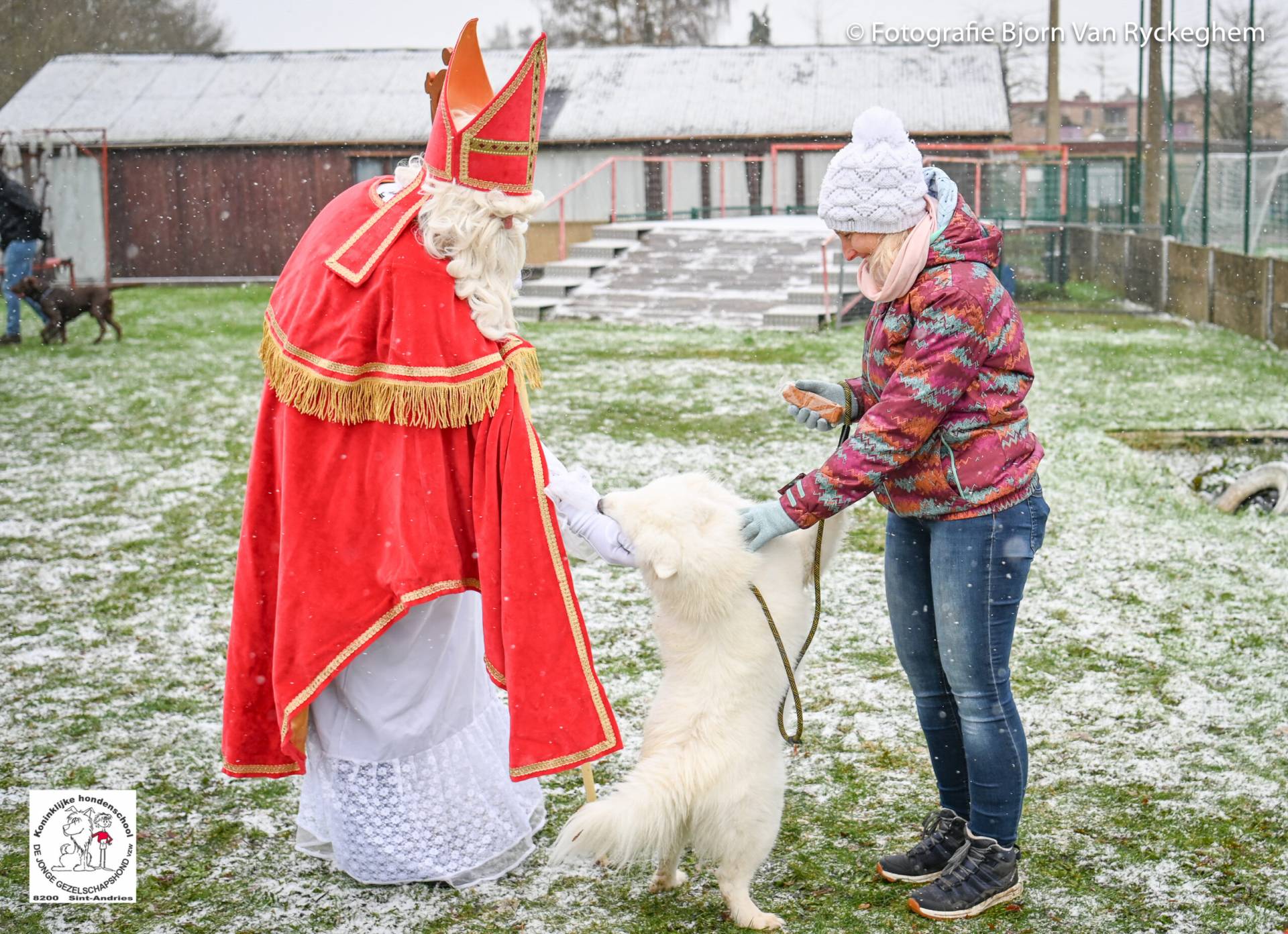 Hondenschool Sinterklaas 2023 115