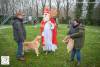 Hondenschool Sinterklaas 2023 149
