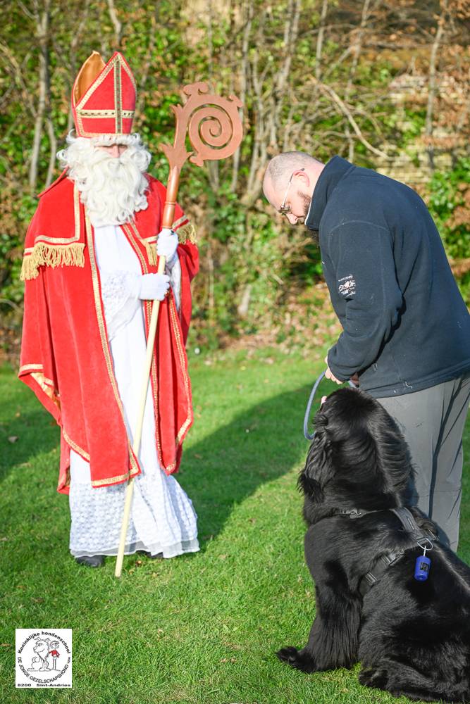 Sinterklaas 2024 157