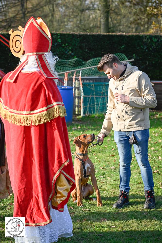 Sinterklaas 2024 79