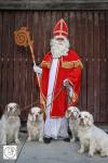 Sinterklaas 2024 64