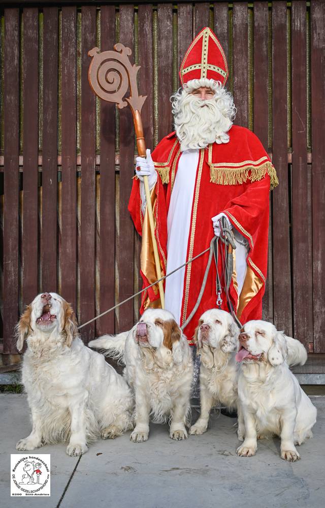 Sinterklaas 2024 63