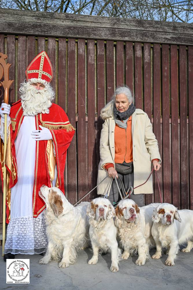 Sinterklaas 2024 61