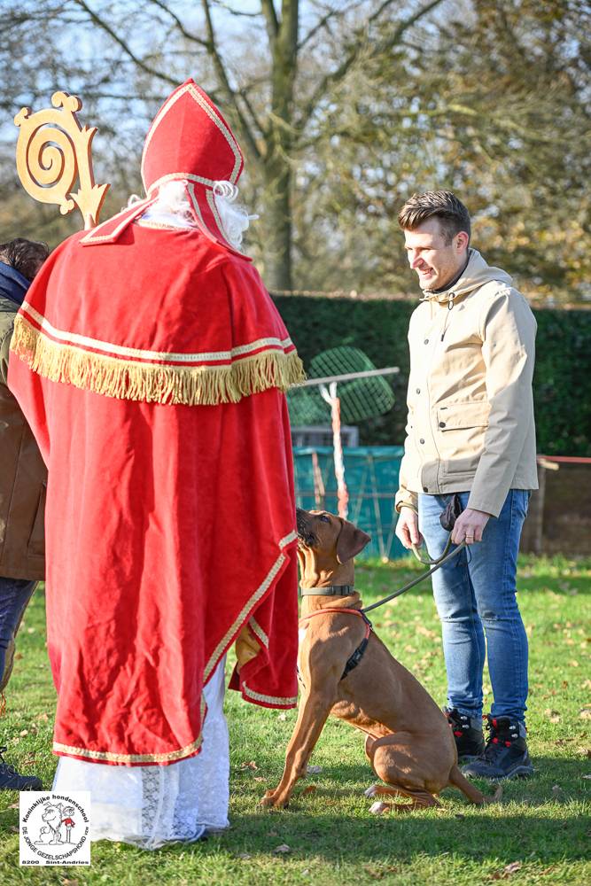 Sinterklaas 2024 78